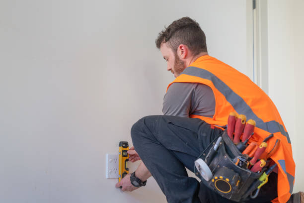 Best Electric Panel Repair  in Nebo, NC